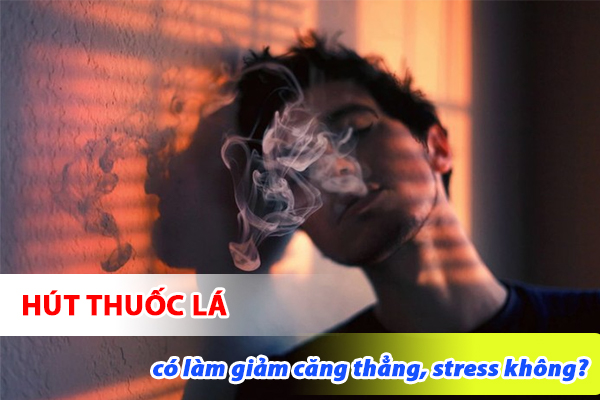 Hút thuốc lá có làm giảm căng thẳng, stress không?
